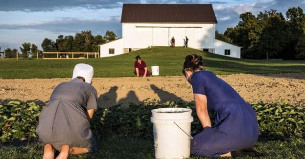 Amish Woman Fires Up Weed Whacker To Fight Off Knife-Wielding Illegal Migrant In Rural Pennsylvania
