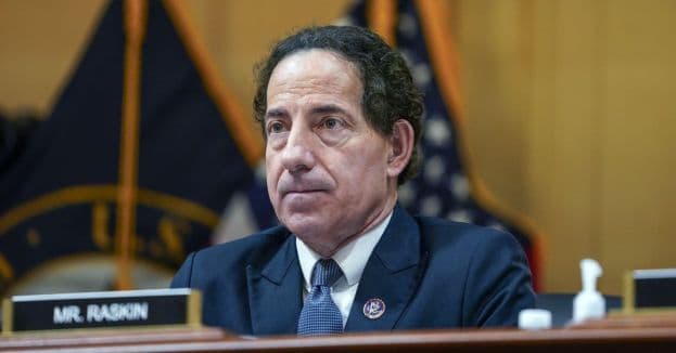 Democrat Jamie Raskin Ties Elon Musk To ‘Rigged’ Asylum System—And The Backlash Is Brutal